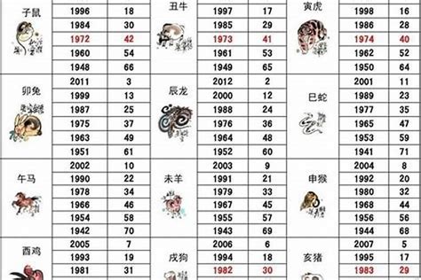 1999年五行|1999年是什么兔 1999年是什么命五行属什么命